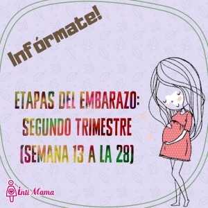 Etapas del embarazo (segundo trimestre)