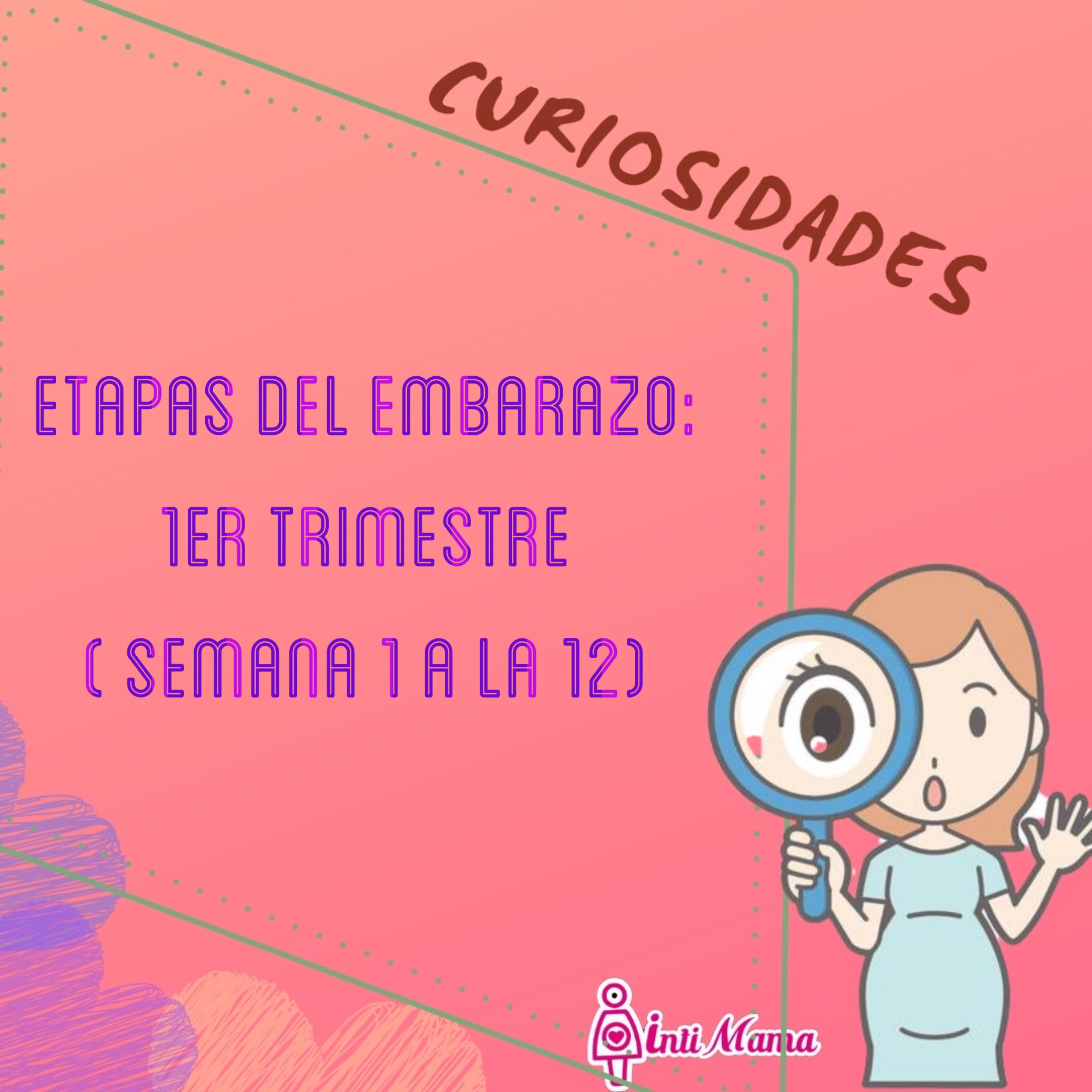 Etapas del embarazo, primer trimestre.