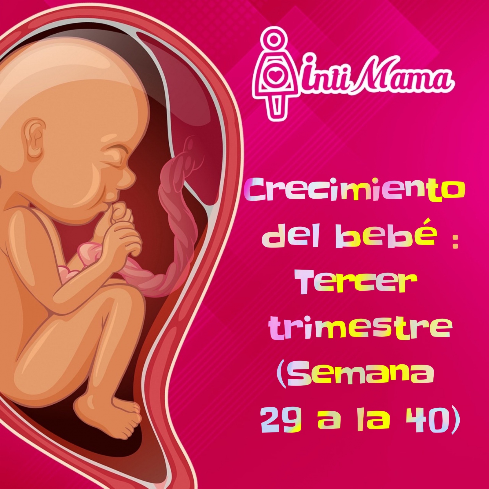 Crecimiento del bebé: tercer trimestre (semana 29 a la 40)