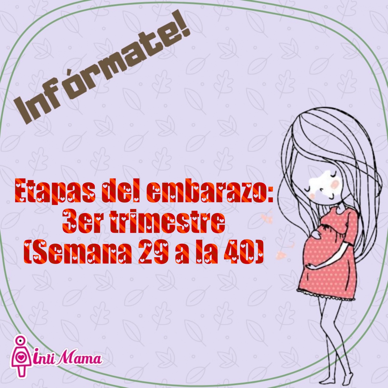 Etapas del embarazo: 3er trimestre (semana 29 a la 40)