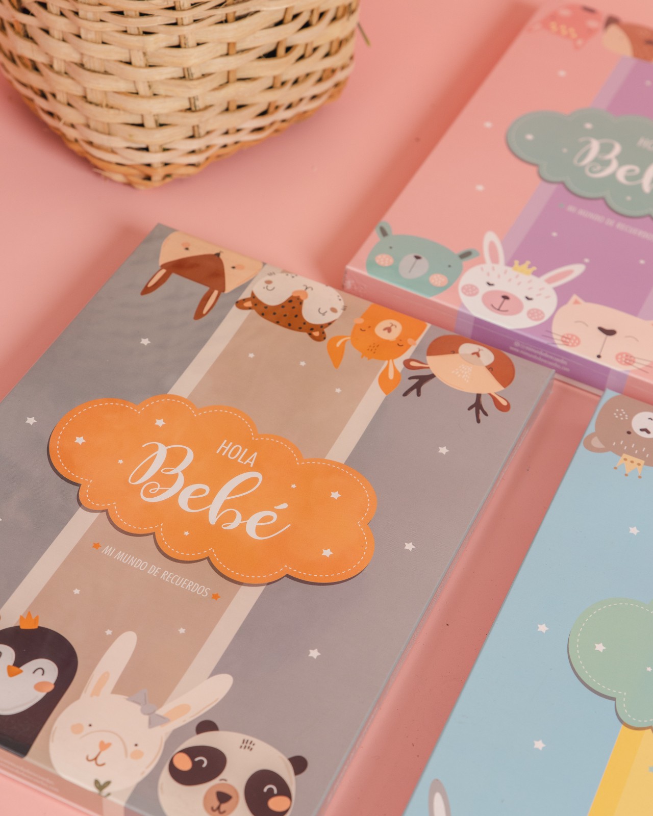 ALBUM DE RECUERDOS_8