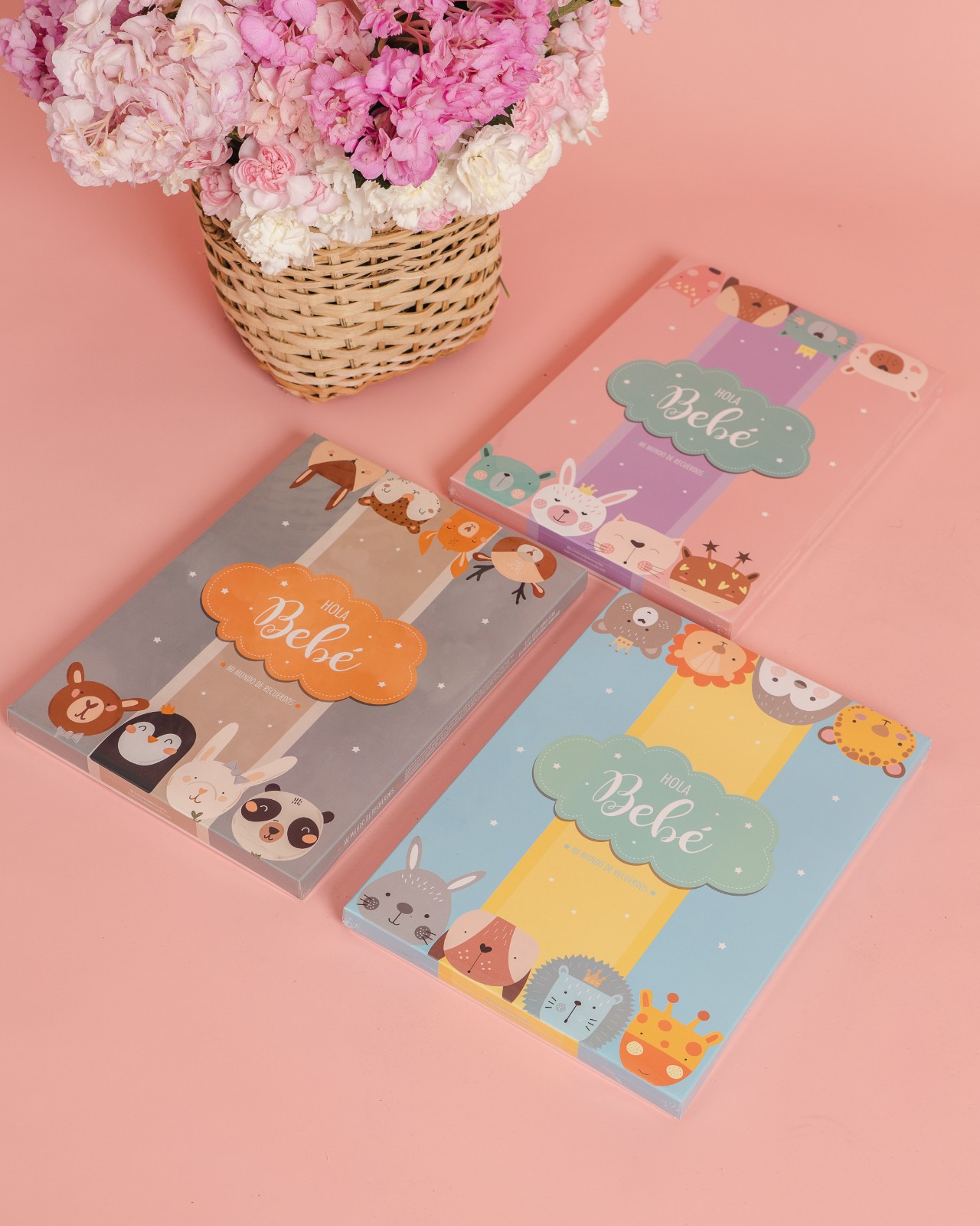 ALBUM DE RECUERDOS_7