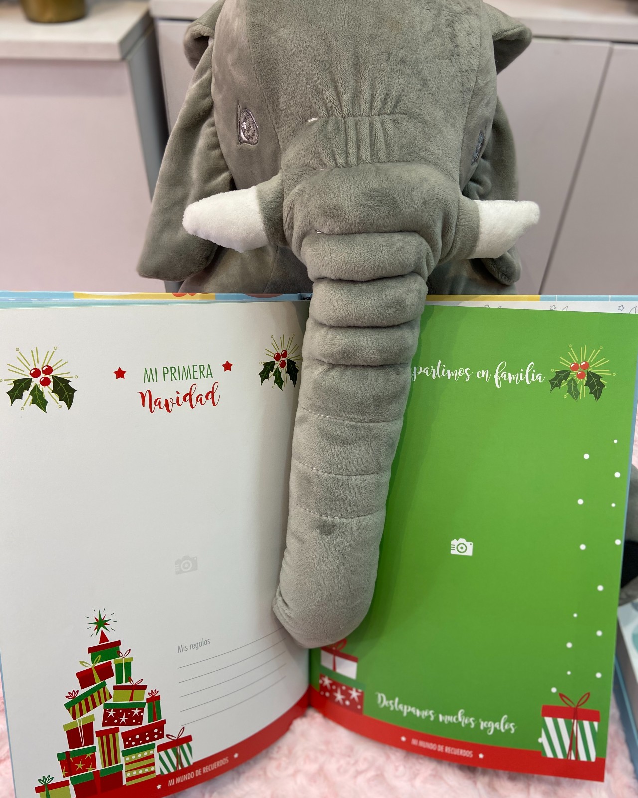 ALBUM DE RECUERDOS_5