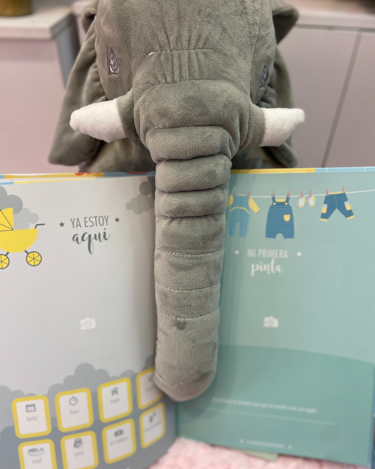 ALBUM DE RECUERDOS_2