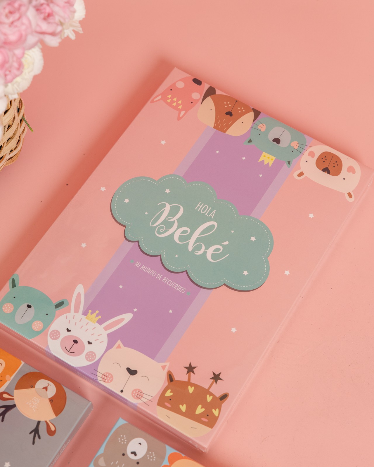 ALBUM DE RECUERDOS_10