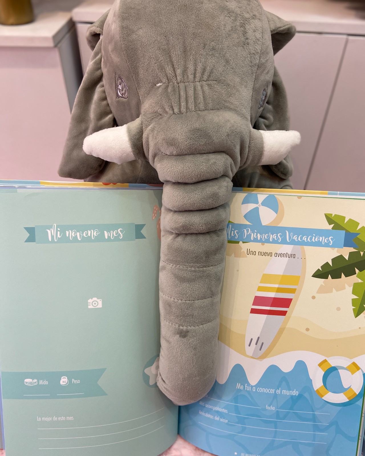 ALBUM DE RECUERDOS_4